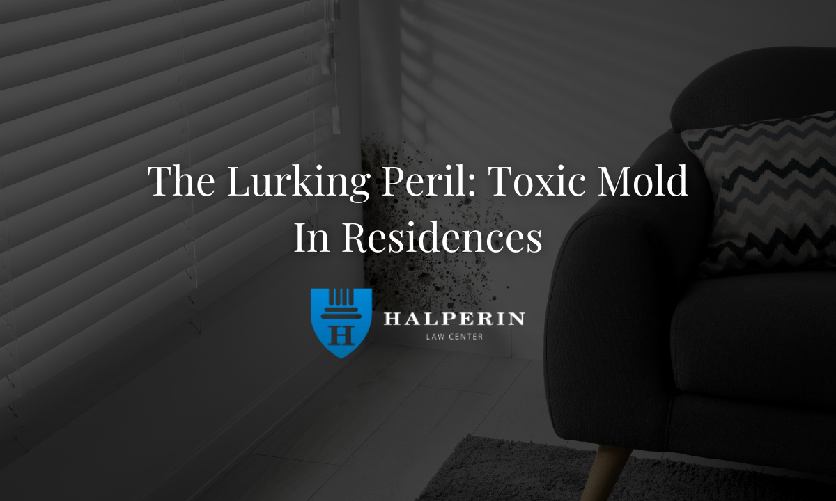 The Lurking Peril: Toxic Mold in Residences